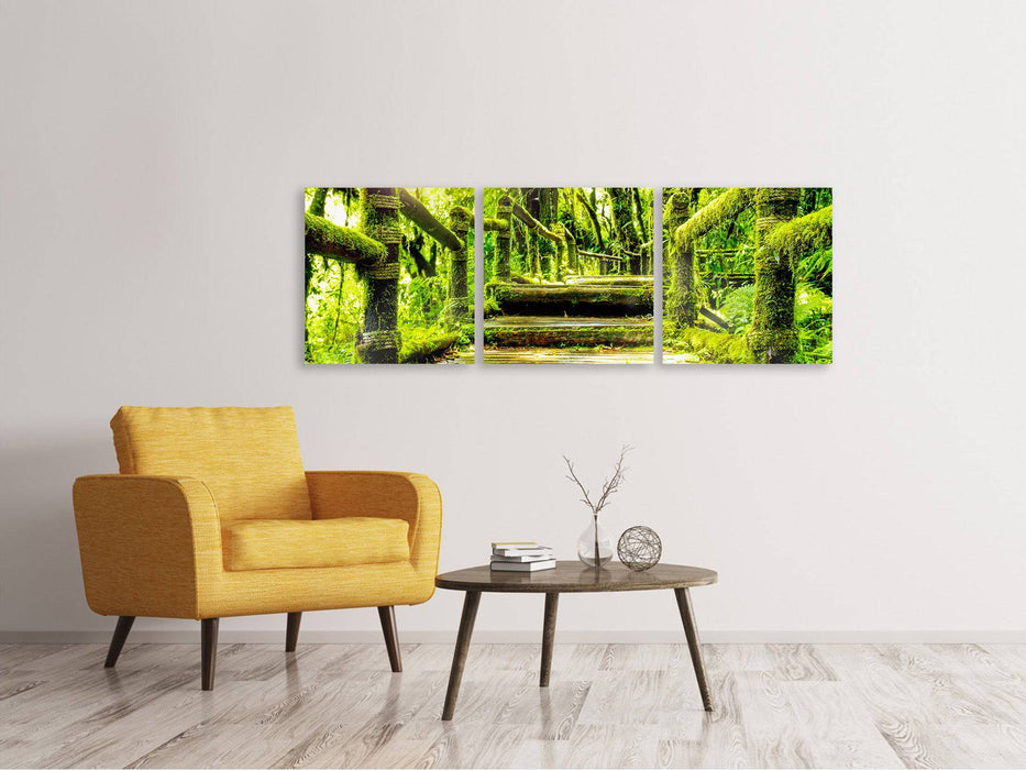 Panorama 3-piece canvas picture moss