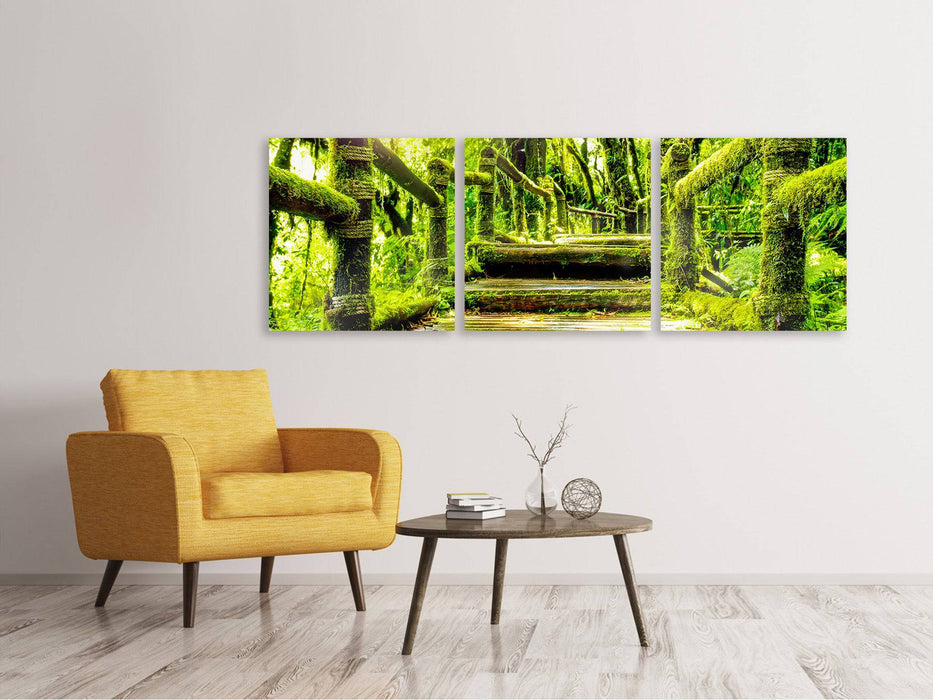 Panorama 3-piece canvas picture moss