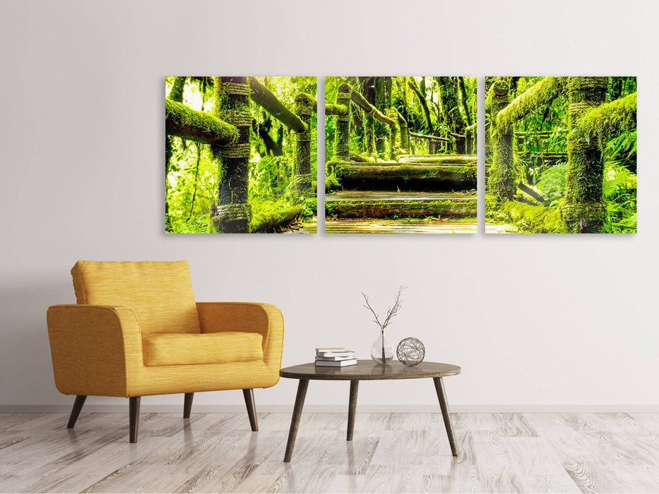 Panorama 3-piece canvas picture moss