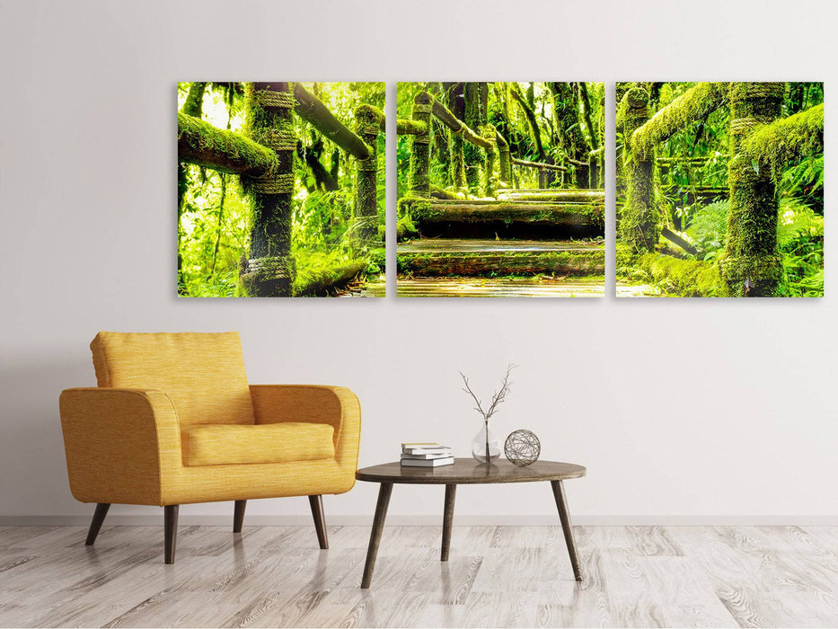 Panorama 3-piece canvas picture moss