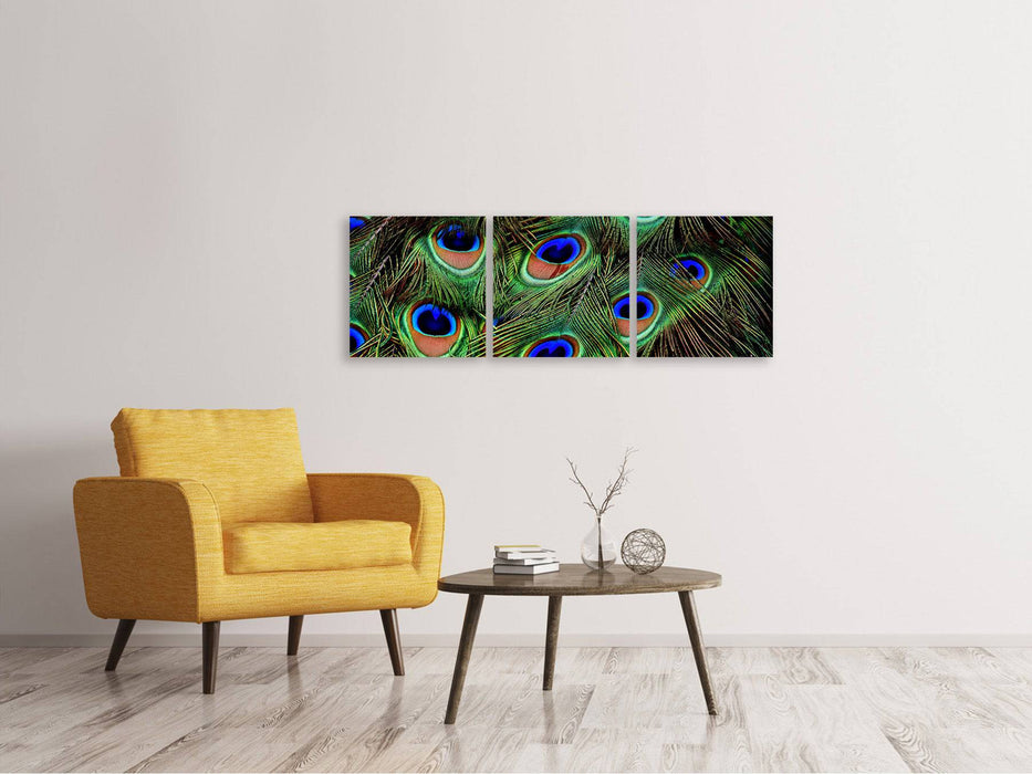 Panorama 3-piece canvas picture peacock feathers XXL