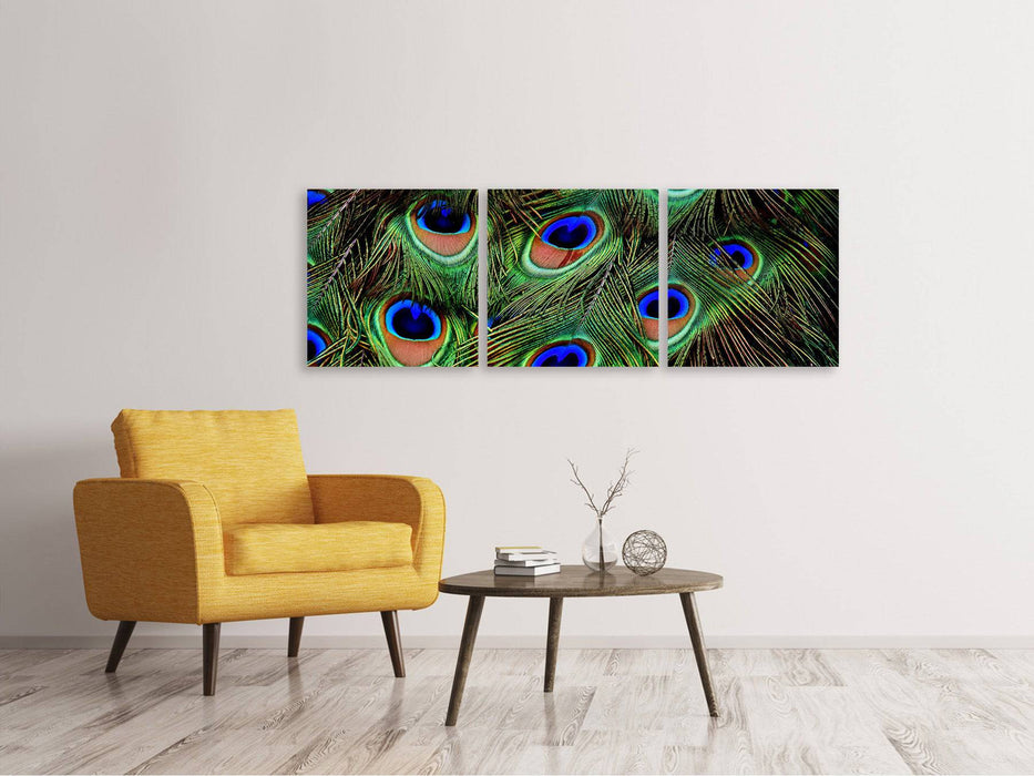 Panorama 3-piece canvas picture peacock feathers XXL