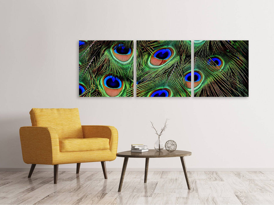 Panorama 3-piece canvas picture peacock feathers XXL