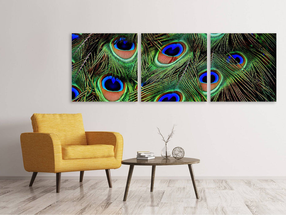 Panorama 3-piece canvas picture peacock feathers XXL