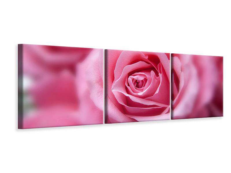 Tableau sur toile panoramique en 3 parties roses macro