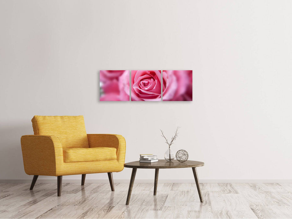 Tableau sur toile panoramique en 3 parties roses macro