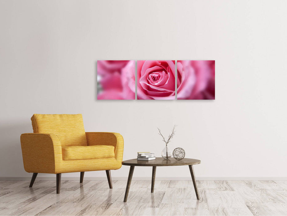 Tableau sur toile panoramique en 3 parties roses macro