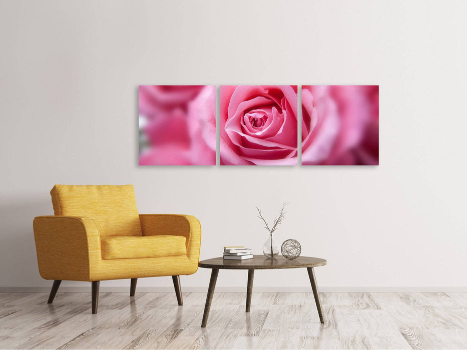 Tableau sur toile panoramique en 3 parties roses macro