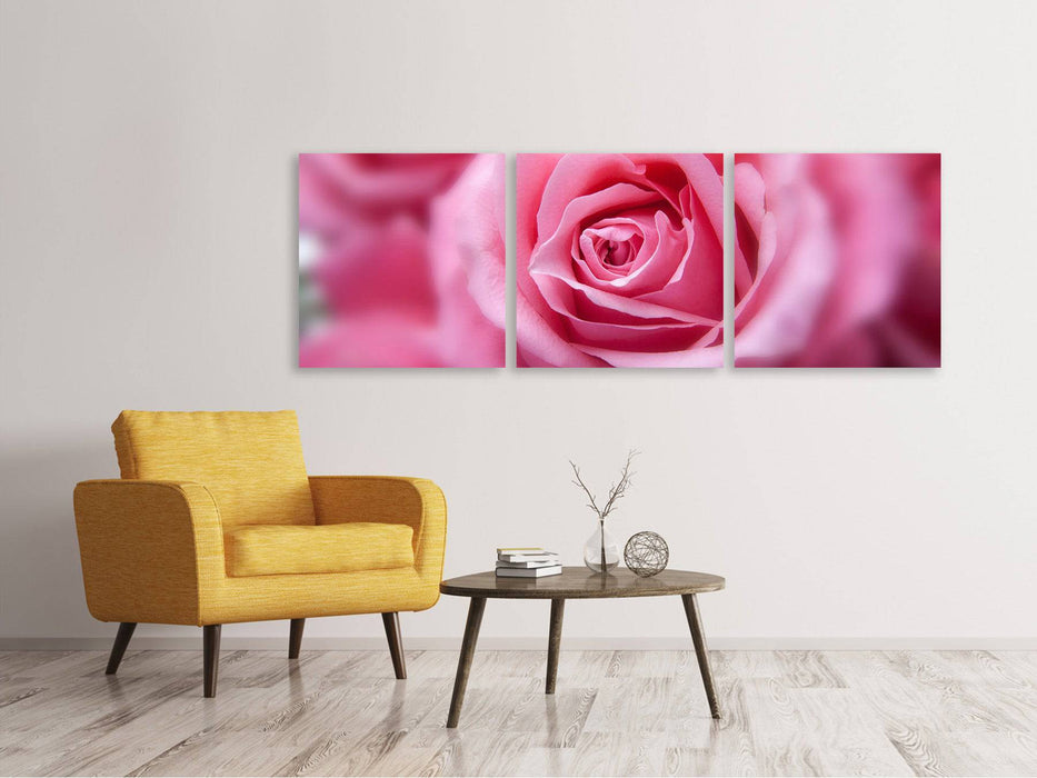 Tableau sur toile panoramique en 3 parties roses macro