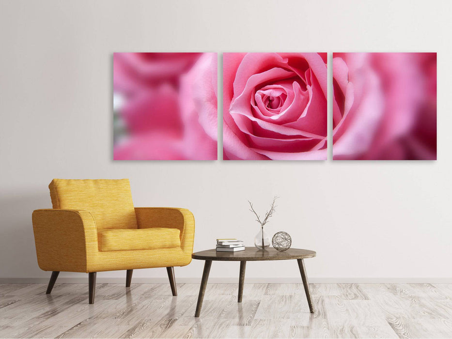 Tableau sur toile panoramique en 3 parties roses macro