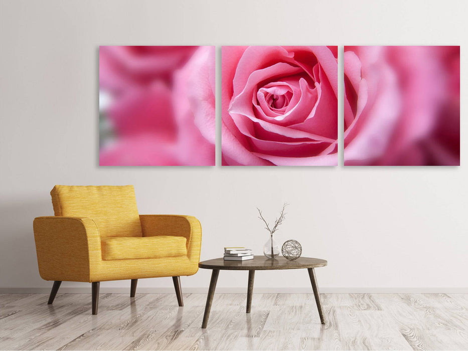 Tableau sur toile panoramique en 3 parties roses macro