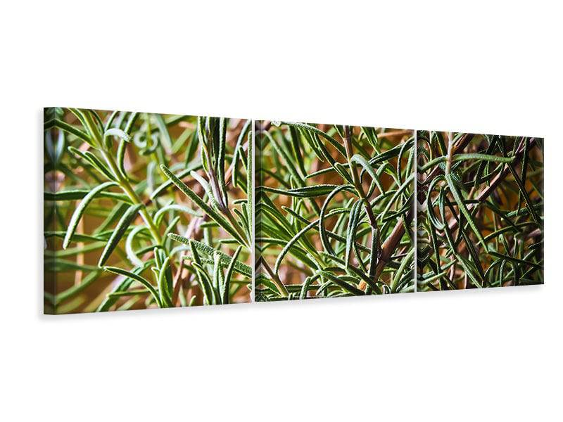 Panorama canvas picture 3 pieces Rosemary XXL