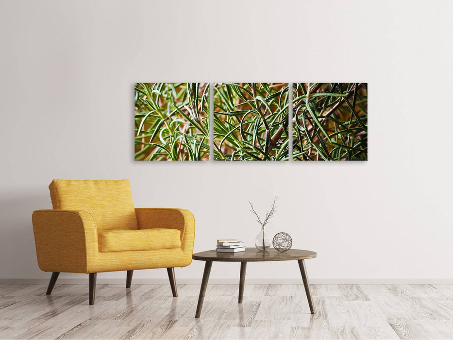 Tableau panoramique sur toile 3 pièces Romarin XXL