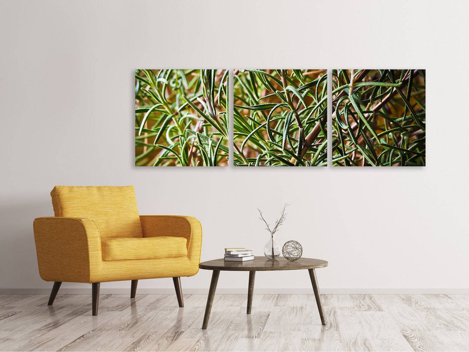 Tableau panoramique sur toile 3 pièces Romarin XXL