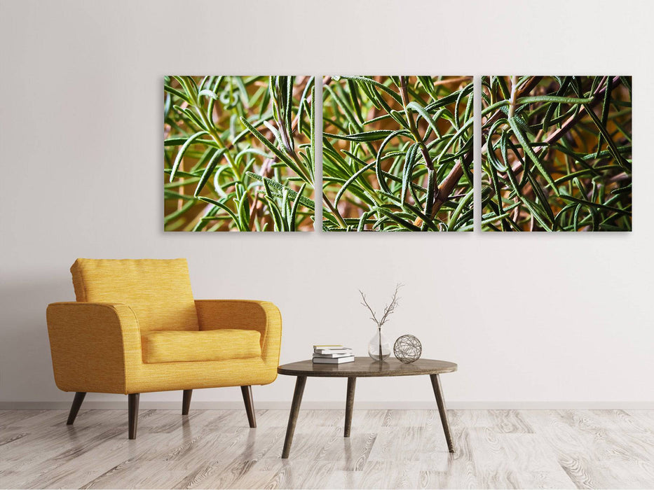 Tableau panoramique sur toile 3 pièces Romarin XXL