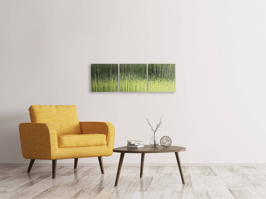 Tableau panoramique sur toile en 3 parties verre satiné