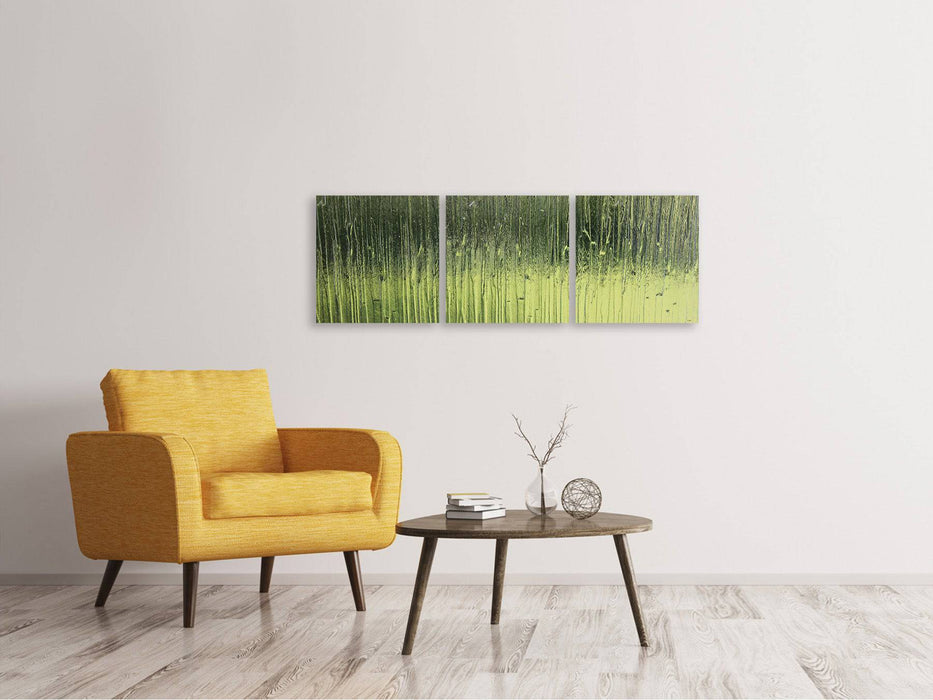 Tableau panoramique sur toile en 3 parties verre satiné