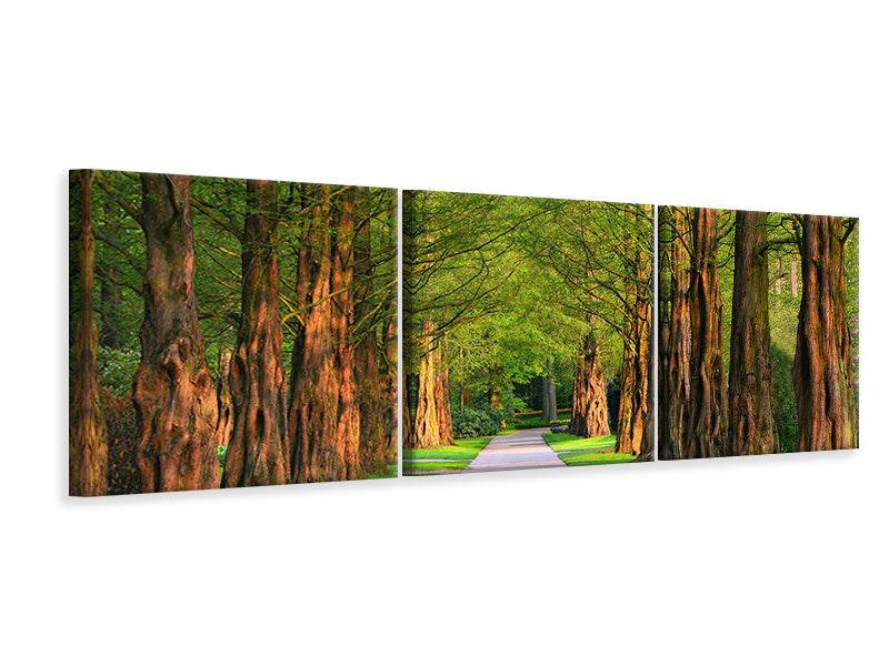 Panoramic 3-piece canvas picture Beautiful avenue in nature