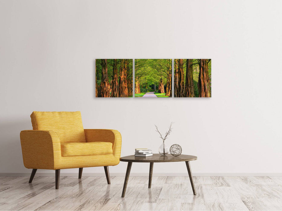 Panoramic 3-piece canvas picture Beautiful avenue in nature