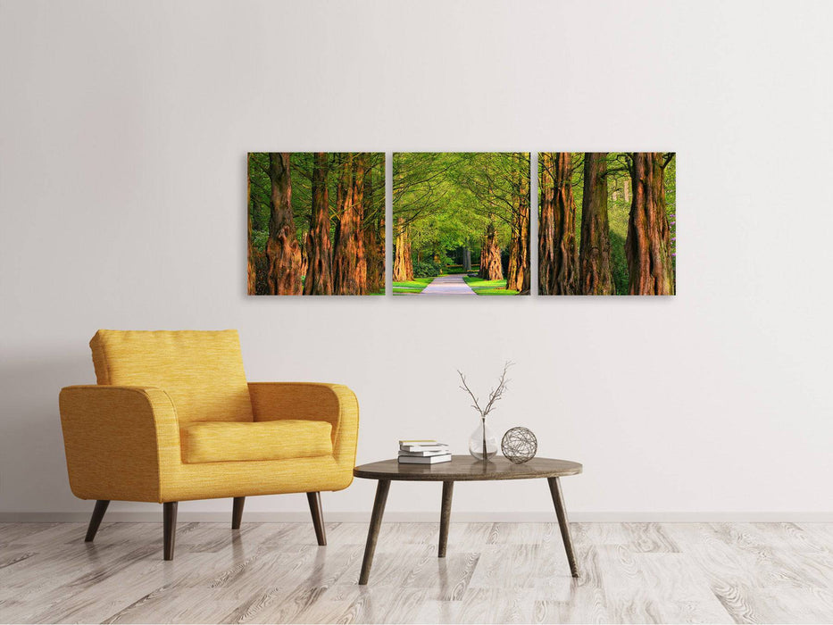 Panoramic 3-piece canvas picture Beautiful avenue in nature