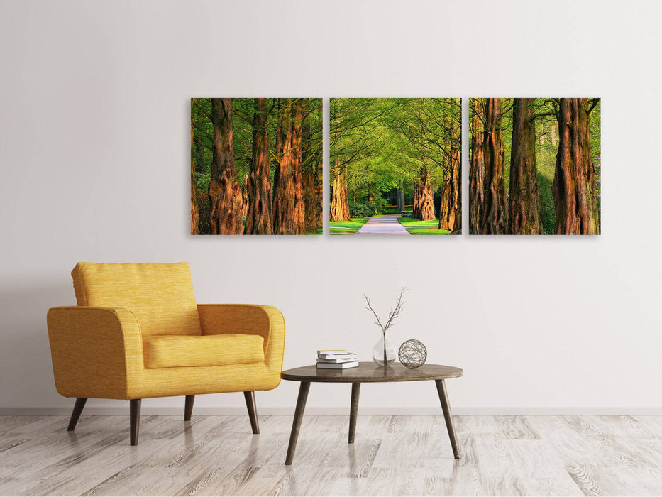 Panoramic 3-piece canvas picture Beautiful avenue in nature