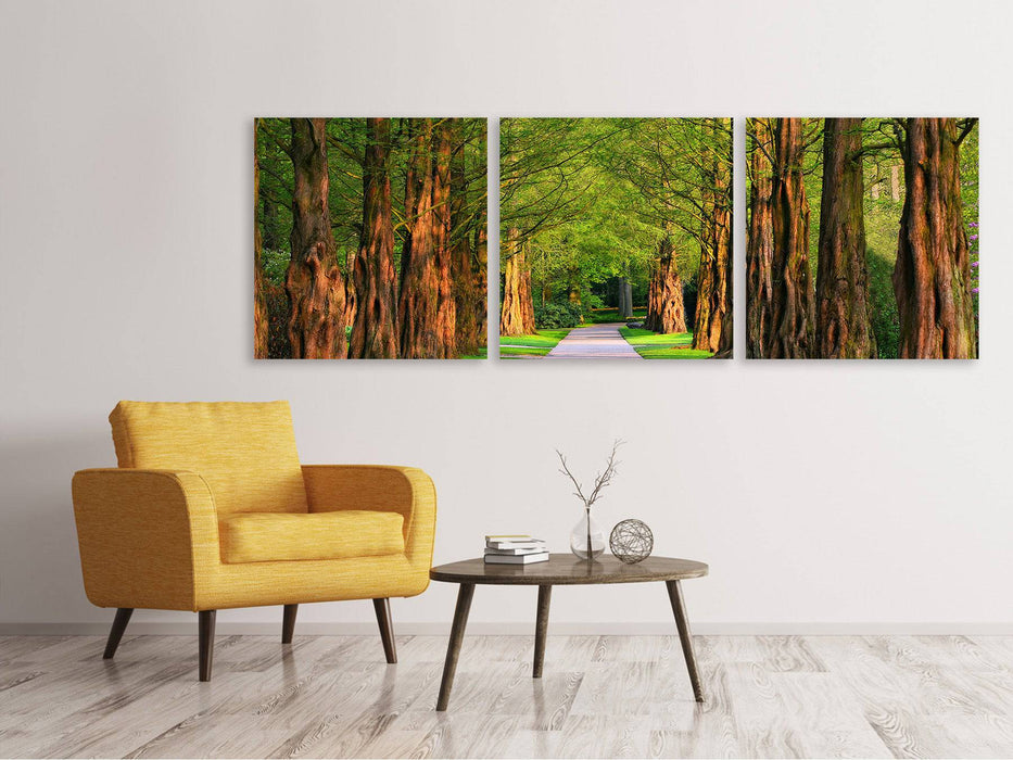 Panoramic 3-piece canvas picture Beautiful avenue in nature