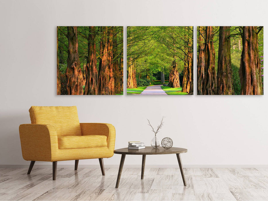 Panoramic 3-piece canvas picture Beautiful avenue in nature