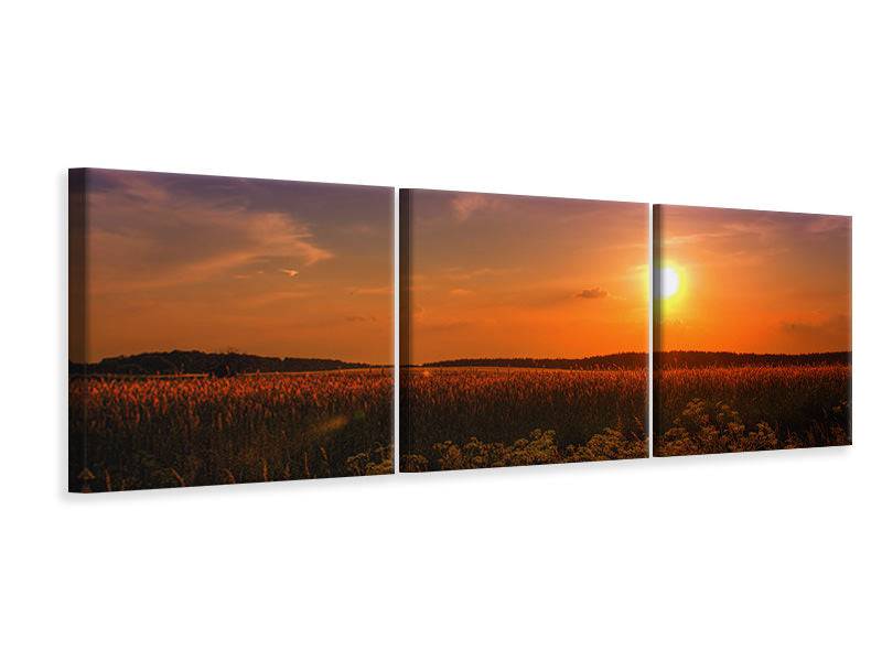 Panoramic 3-piece canvas picture Sunset at the flower field