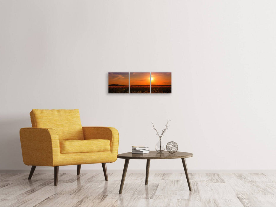 Panoramic 3-piece canvas picture Sunset at the flower field