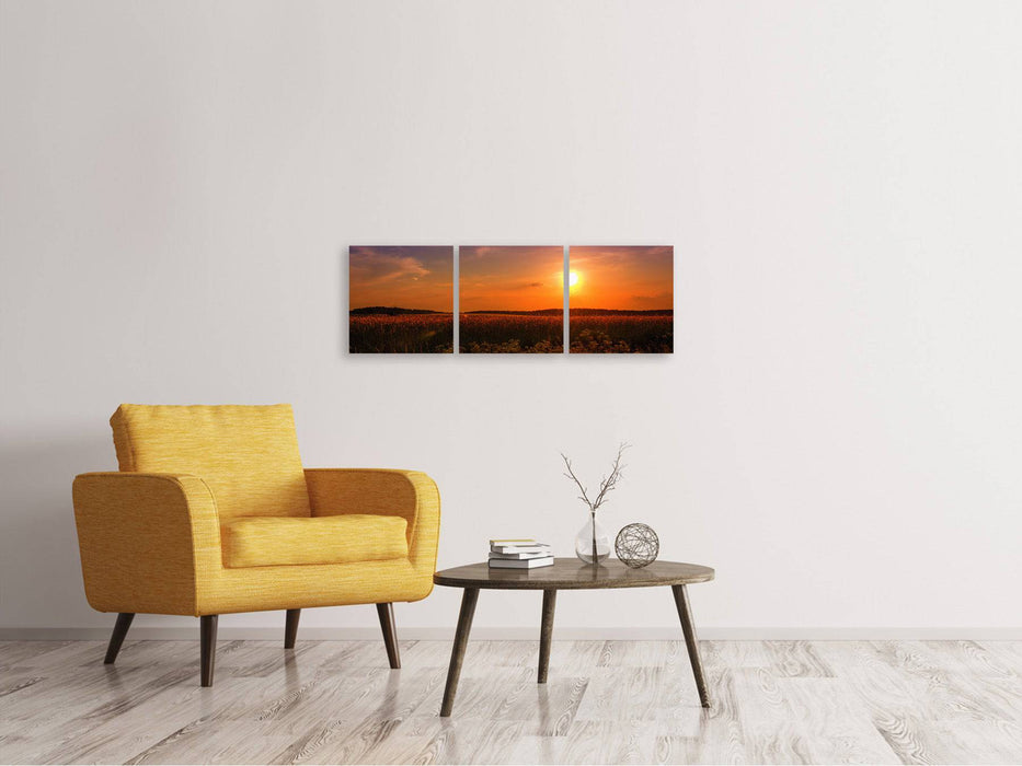 Panoramic 3-piece canvas picture Sunset at the flower field