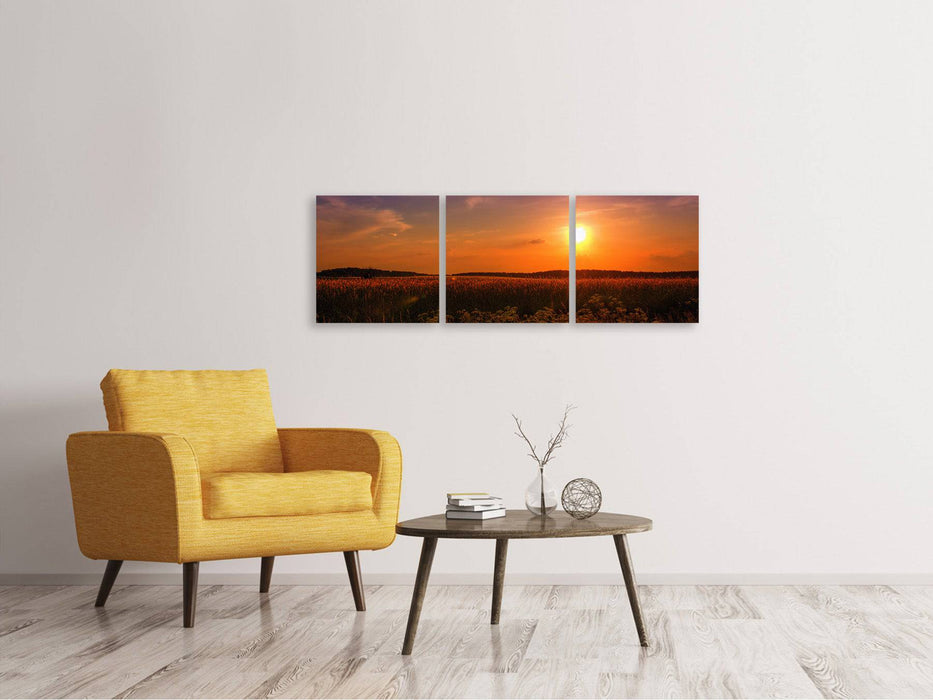 Panoramic 3-piece canvas picture Sunset at the flower field