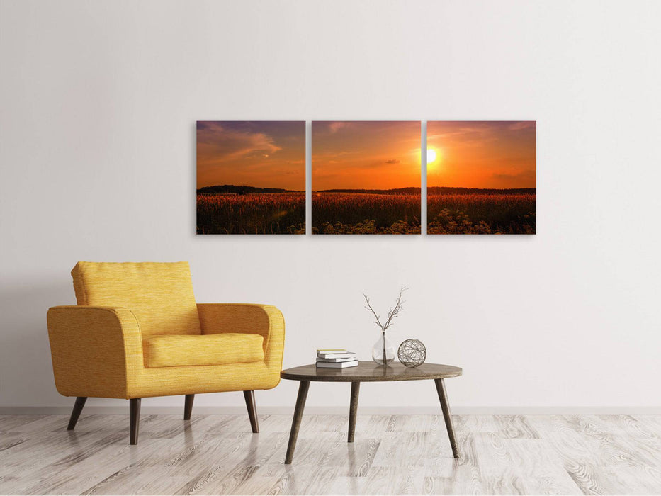 Panoramic 3-piece canvas picture Sunset at the flower field