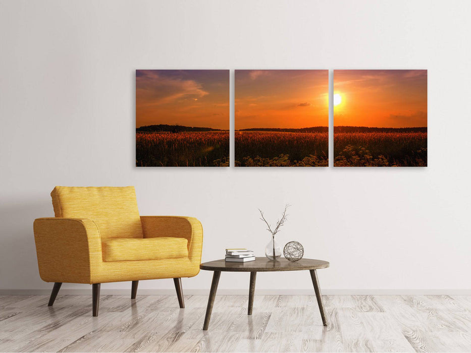 Panoramic 3-piece canvas picture Sunset at the flower field