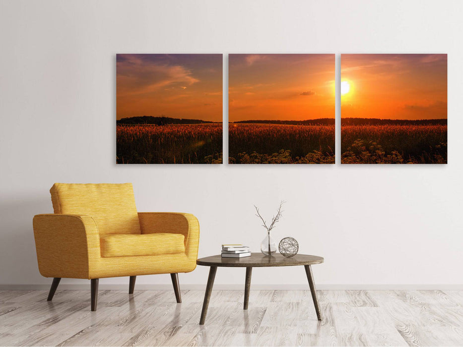 Panoramic 3-piece canvas picture Sunset at the flower field