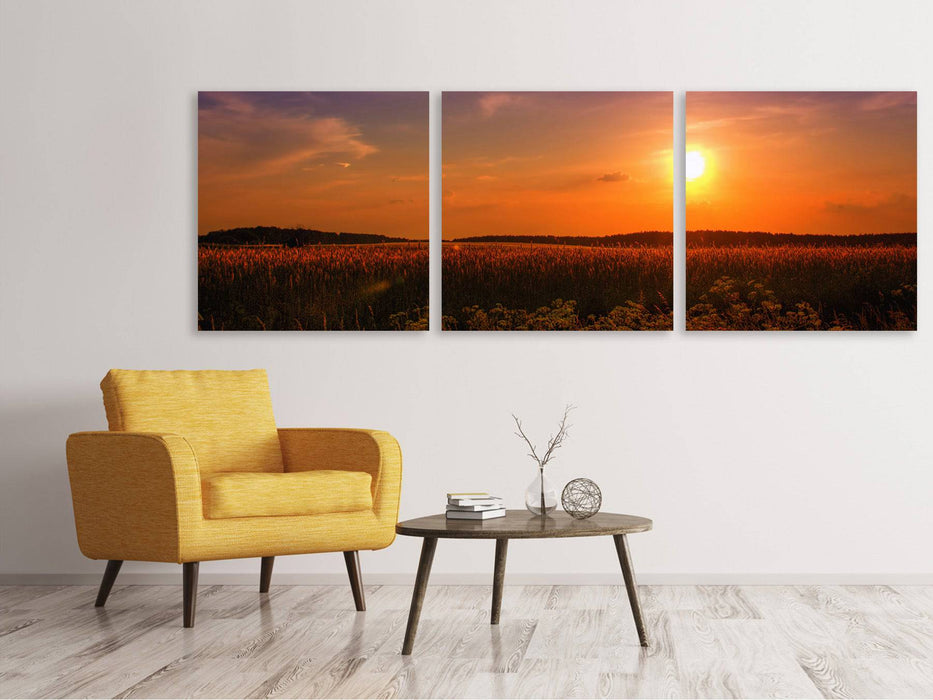 Panoramic 3-piece canvas picture Sunset at the flower field