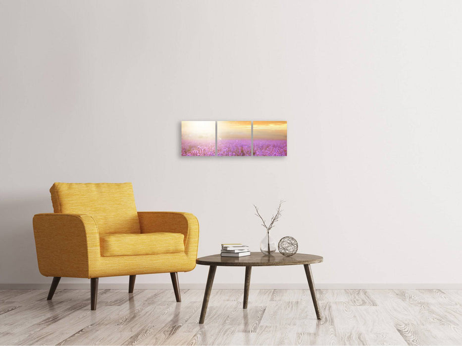 Panoramic 3-piece canvas picture Sunset at the lavender field