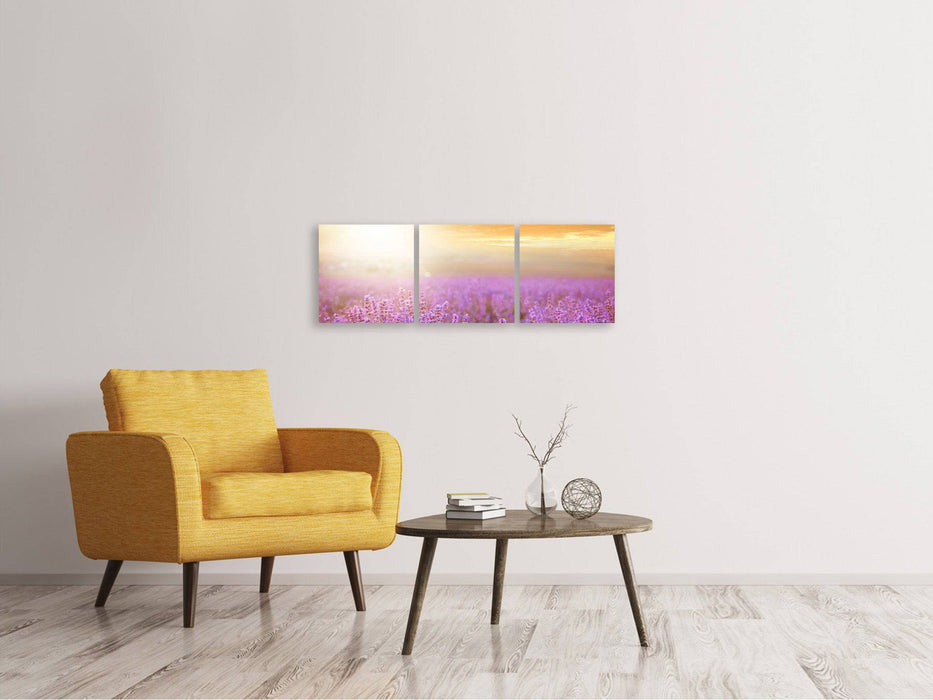 Panoramic 3-piece canvas picture Sunset at the lavender field