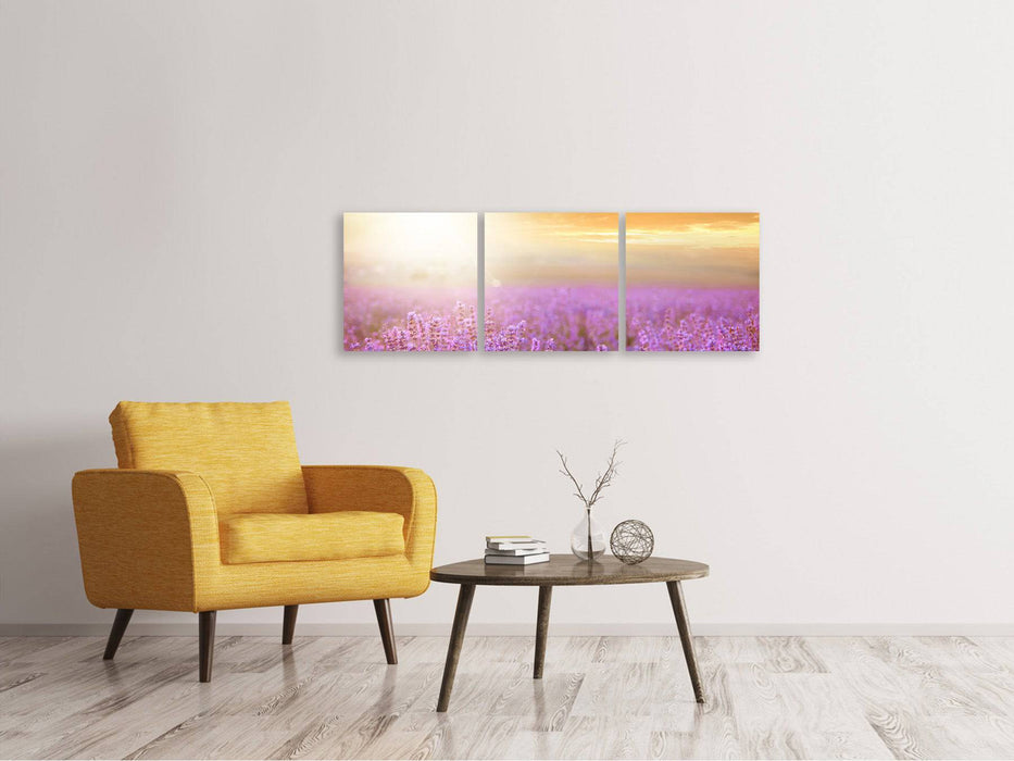 Panoramic 3-piece canvas picture Sunset at the lavender field