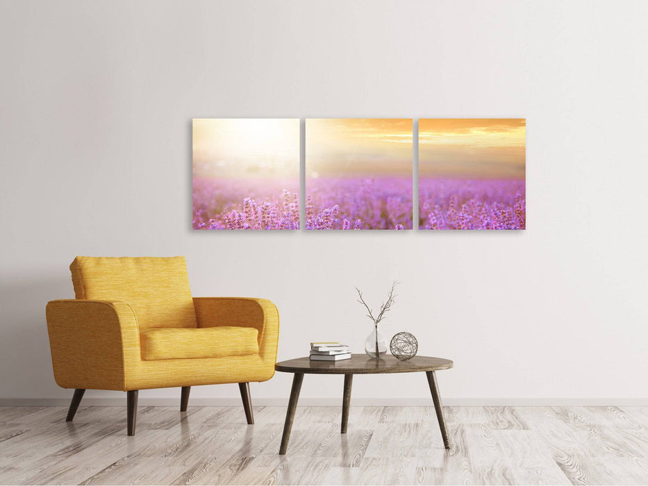 Panoramic 3-piece canvas picture Sunset at the lavender field