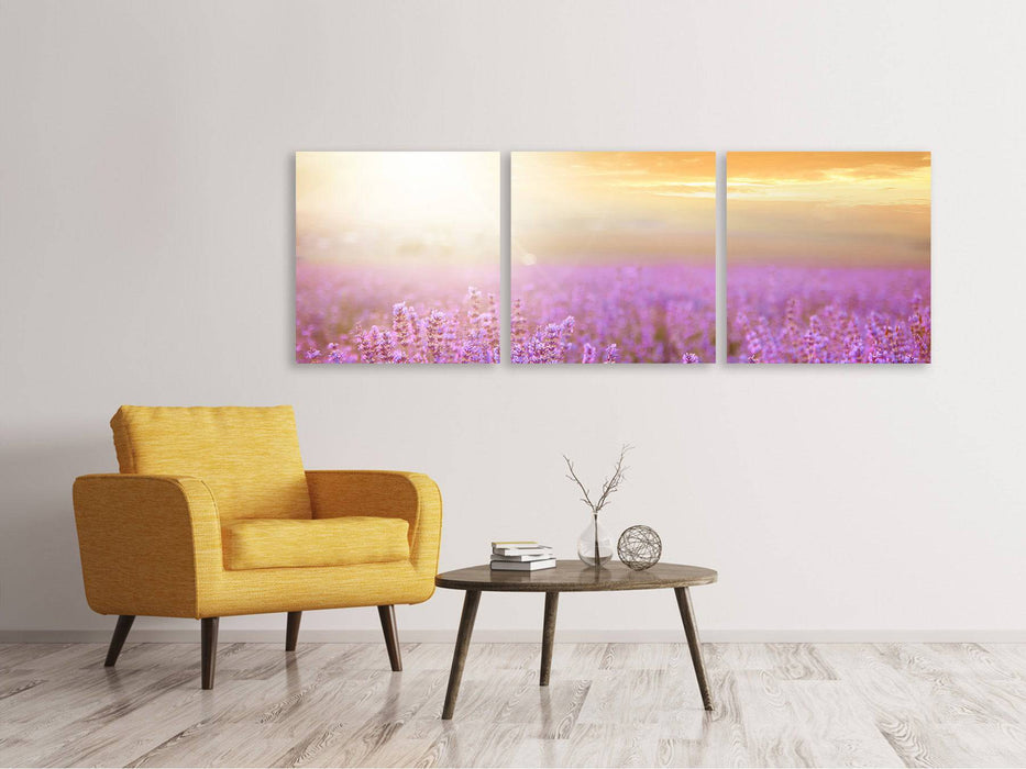 Panoramic 3-piece canvas picture Sunset at the lavender field