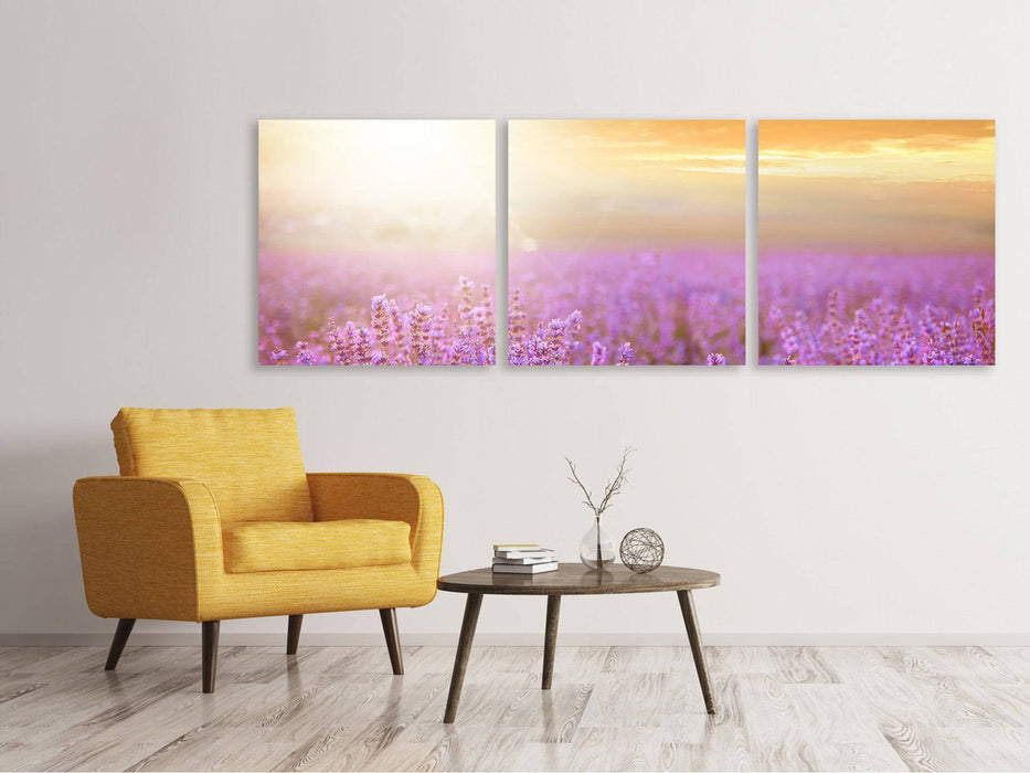 Panoramic 3-piece canvas picture Sunset at the lavender field