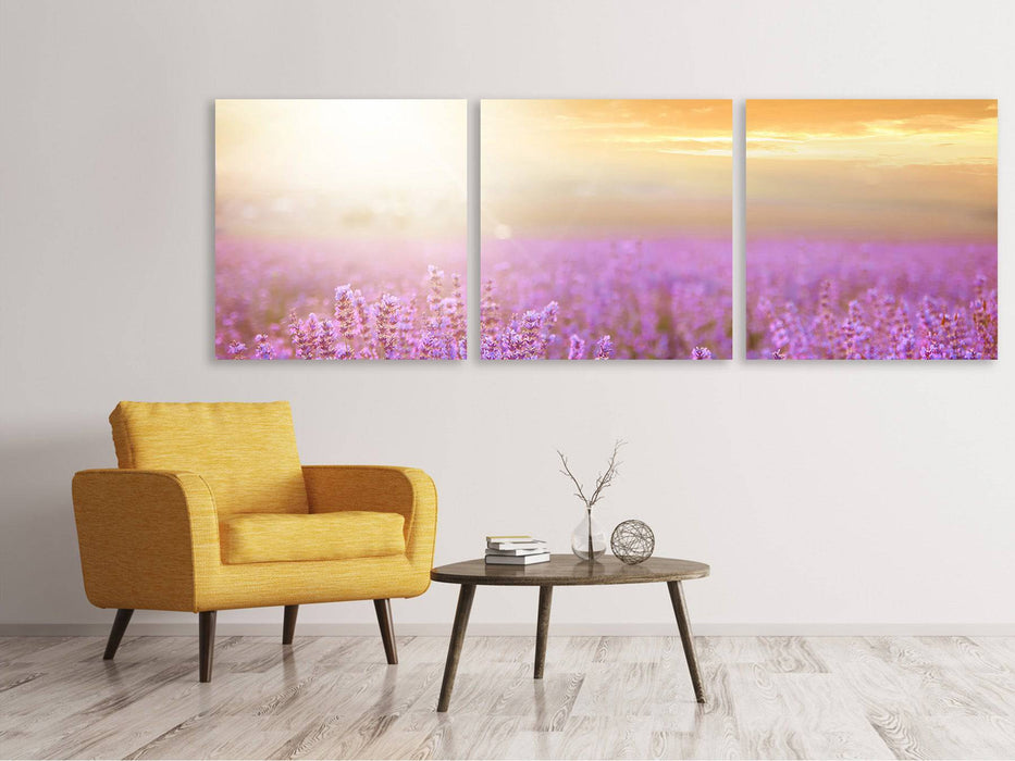 Panoramic 3-piece canvas picture Sunset at the lavender field