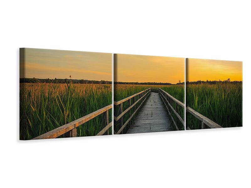 Panoramic 3-piece canvas print Sunset in the fields