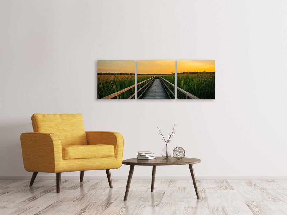 Panoramic 3-piece canvas print Sunset in the fields