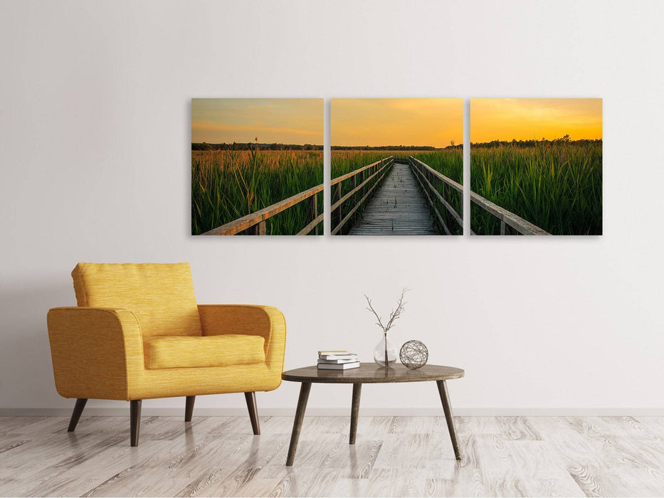 Panoramic 3-piece canvas print Sunset in the fields