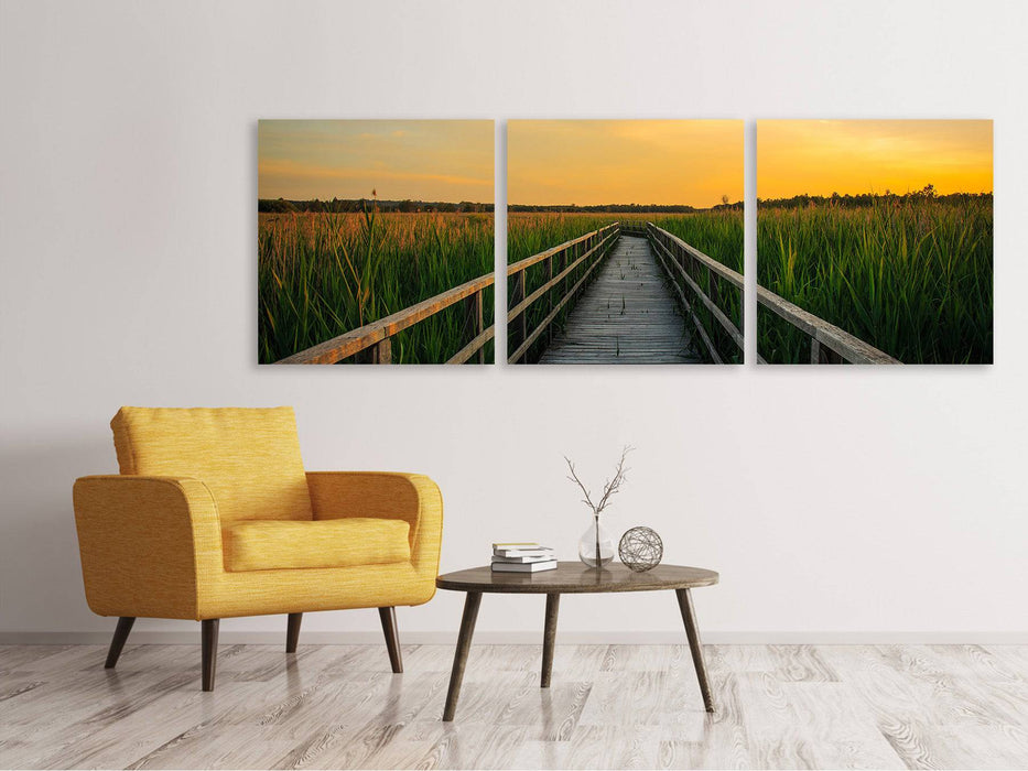 Panoramic 3-piece canvas print Sunset in the fields