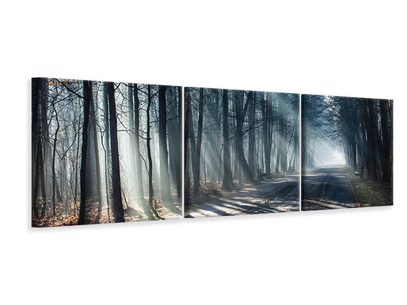 Panorama Leinwandbild 3-teilig Wald im Lichtstrahl