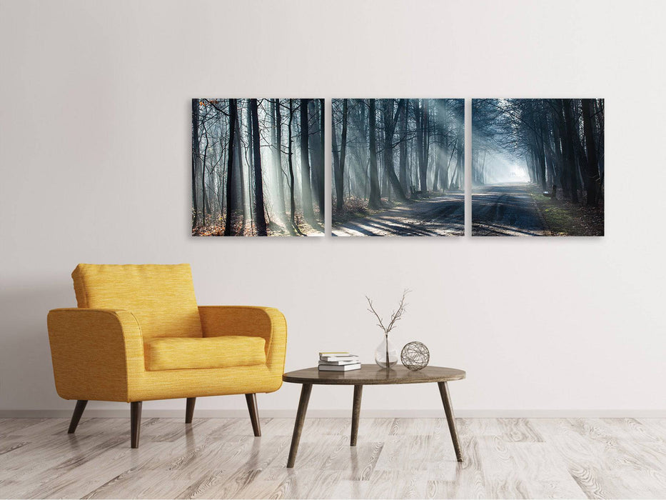 Panorama Leinwandbild 3-teilig Wald im Lichtstrahl