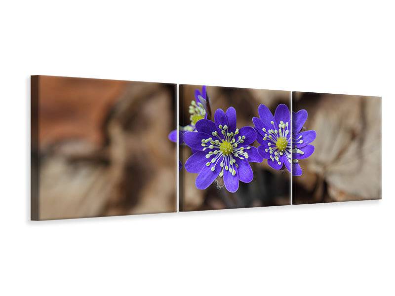 Panoramic 3-piece canvas picture wild flowers