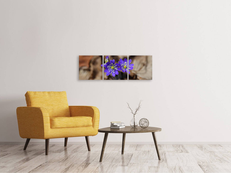 Panoramic 3-piece canvas picture wild flowers